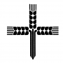 Crosses 49