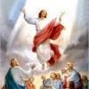 Commentary to the ASCENSION OF THE LORD