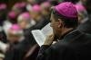 Divorce divides the Synod