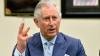 What Prince Charles might want to discuss with Pope Francis